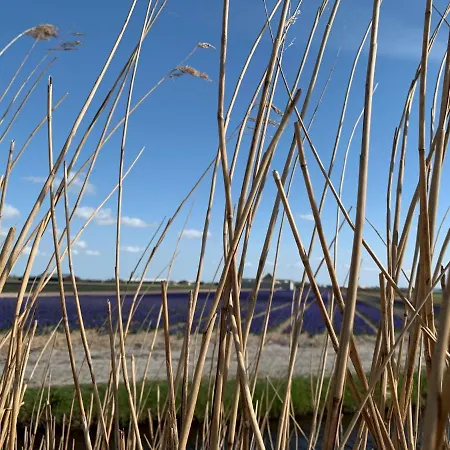 Luxury tent Safari Lodge, Glamping Aan Zee! Callantsoog